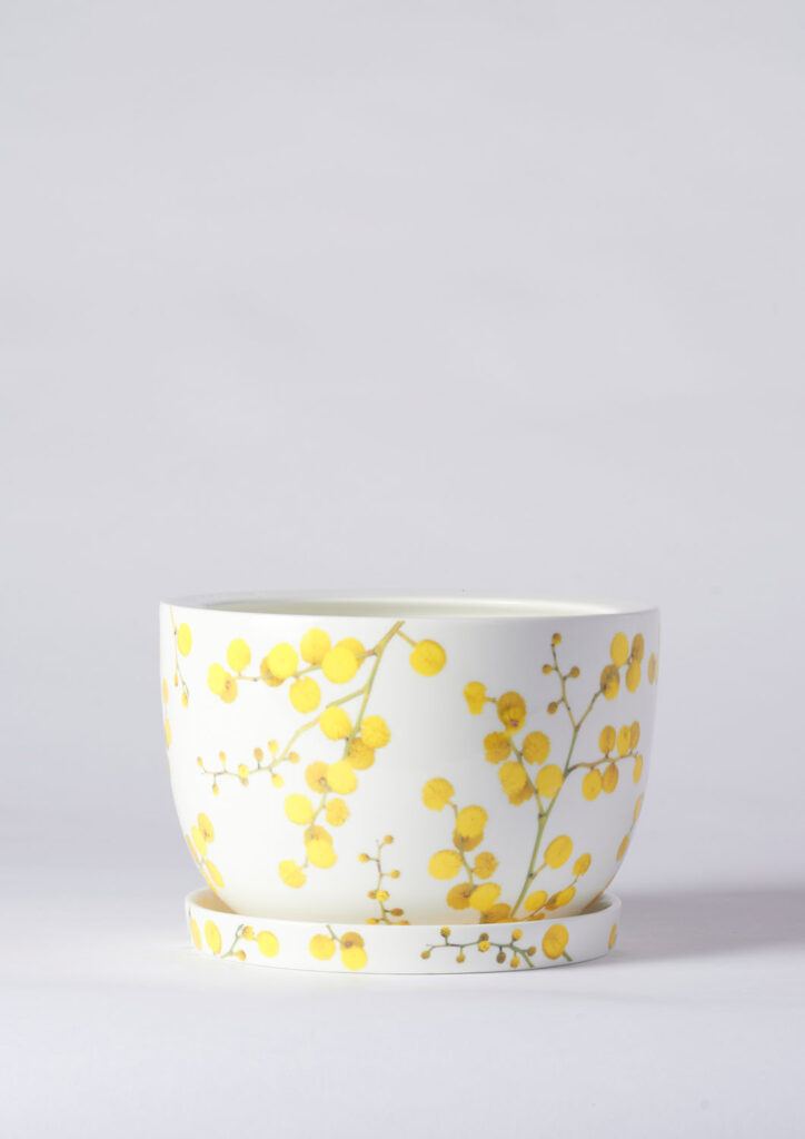 Decorative planter pot Kuranga Native Nursery