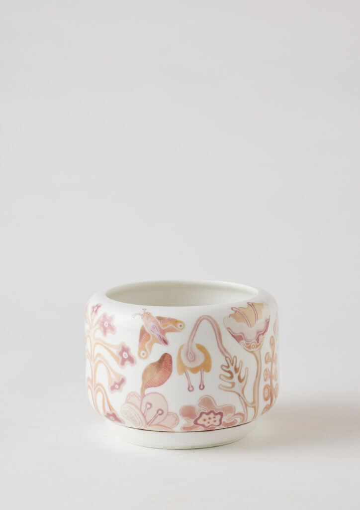 Decorative succulent pot Kuranga Native Nursery