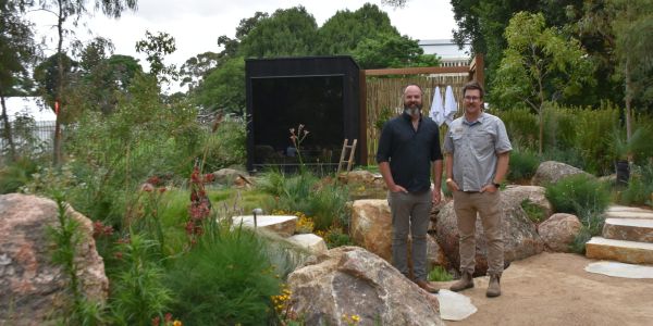 Creating Planting Beds