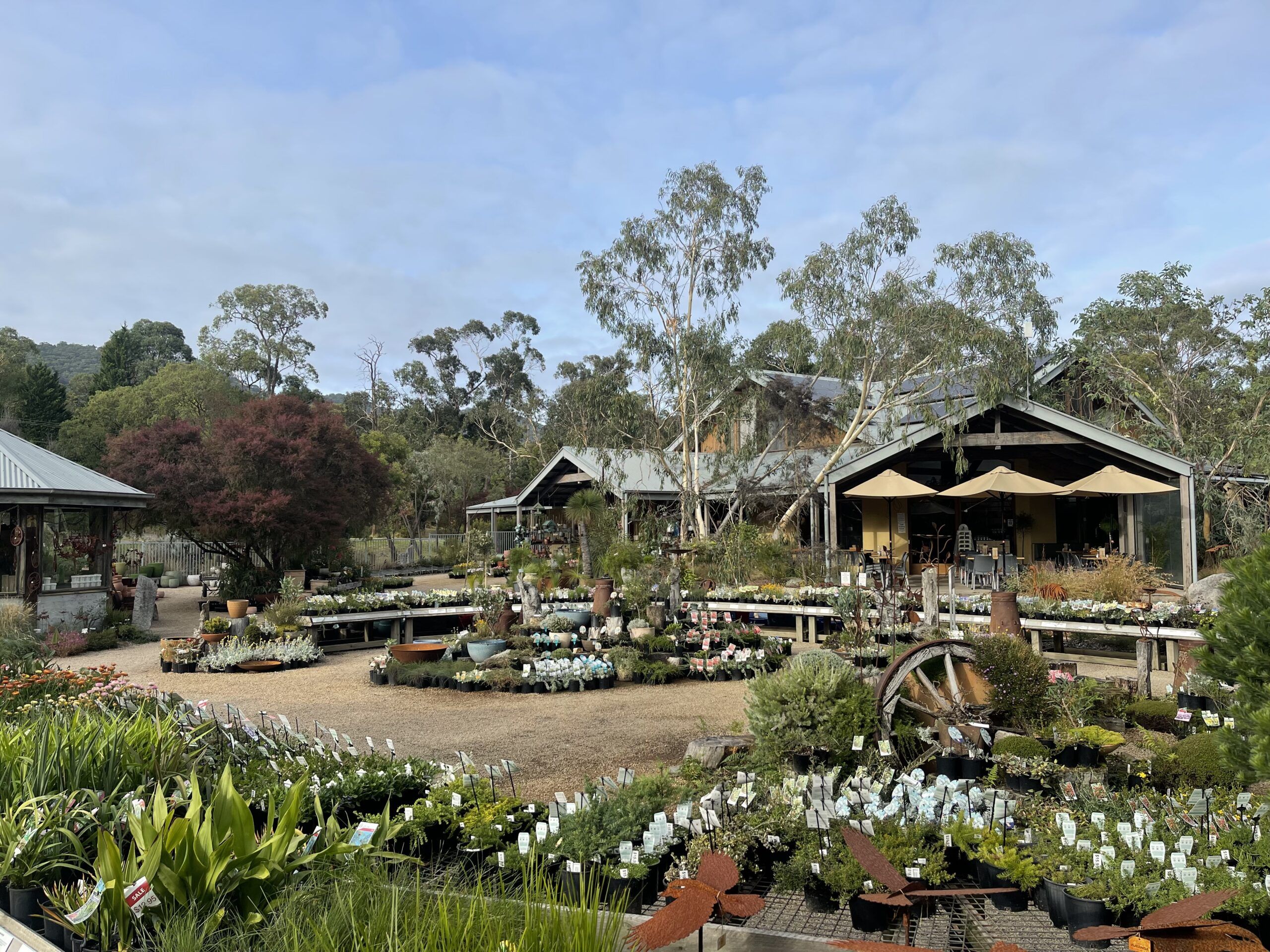 Kuranga Native Nursery