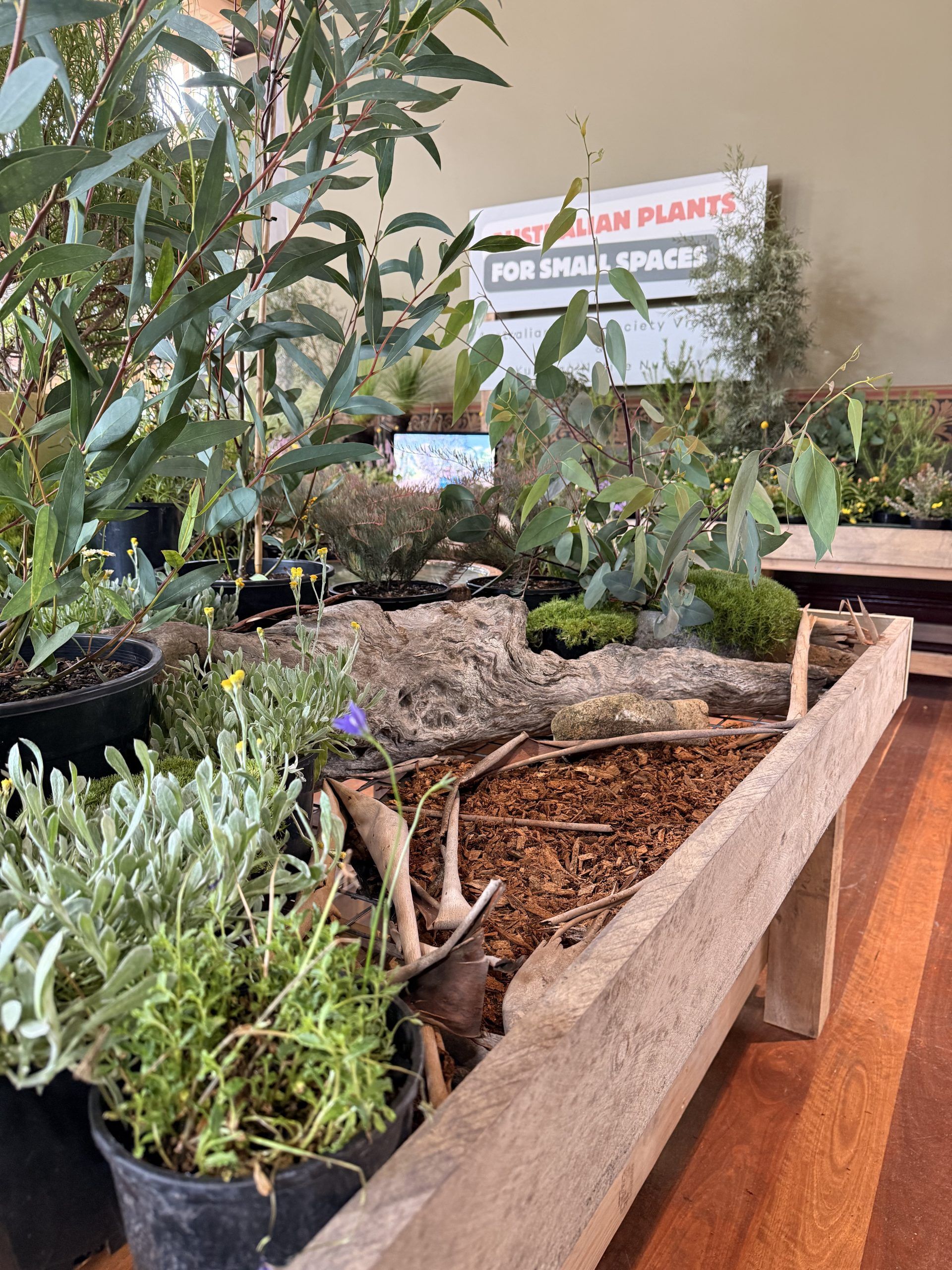 Kuranga x Australian Plant Society (VIC) Stand at MIFGS 2026
