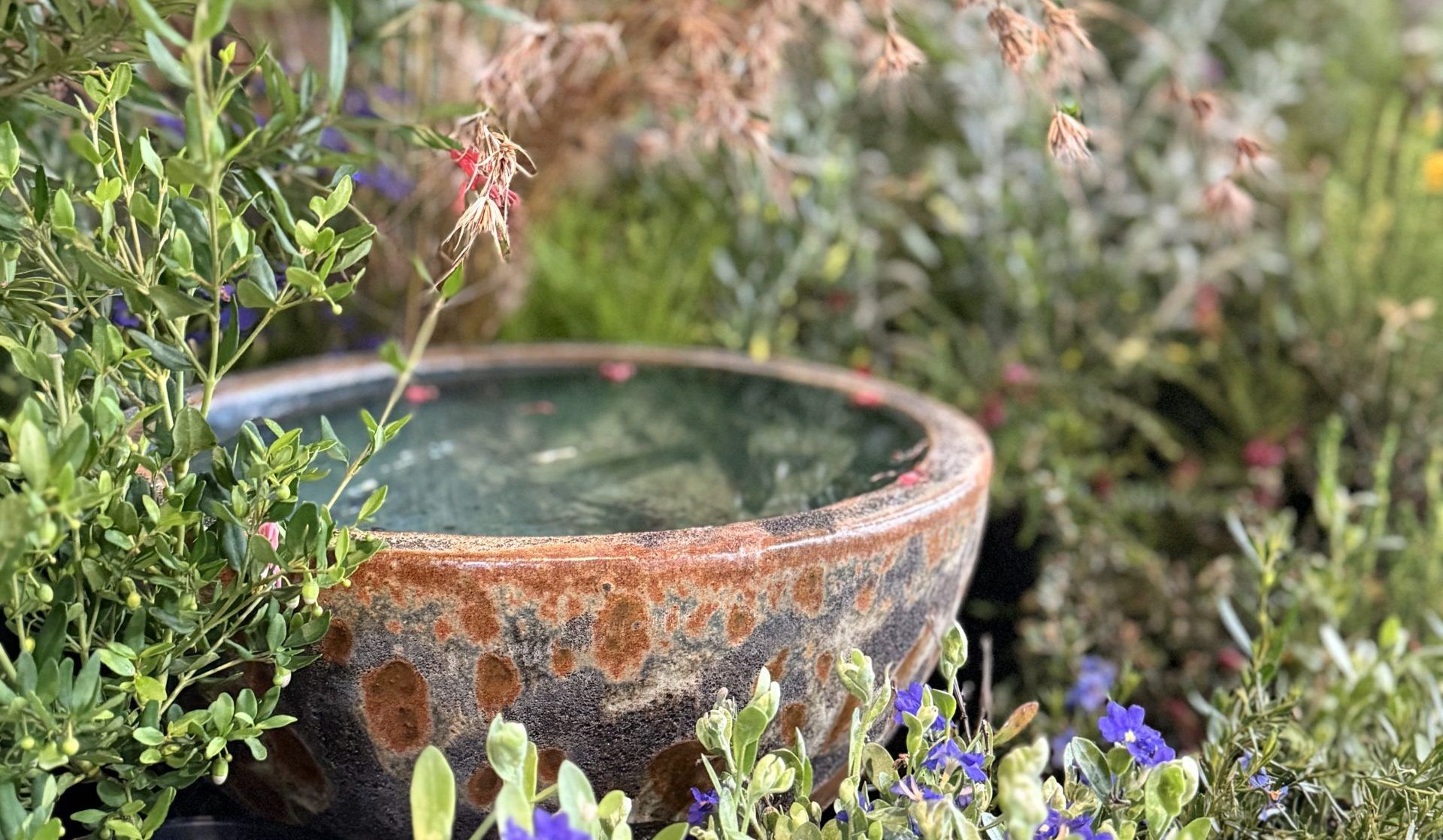 Kuranga Native Nursery
