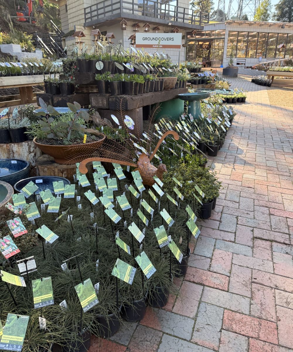 Kuranga Native Nursery | Melbourne