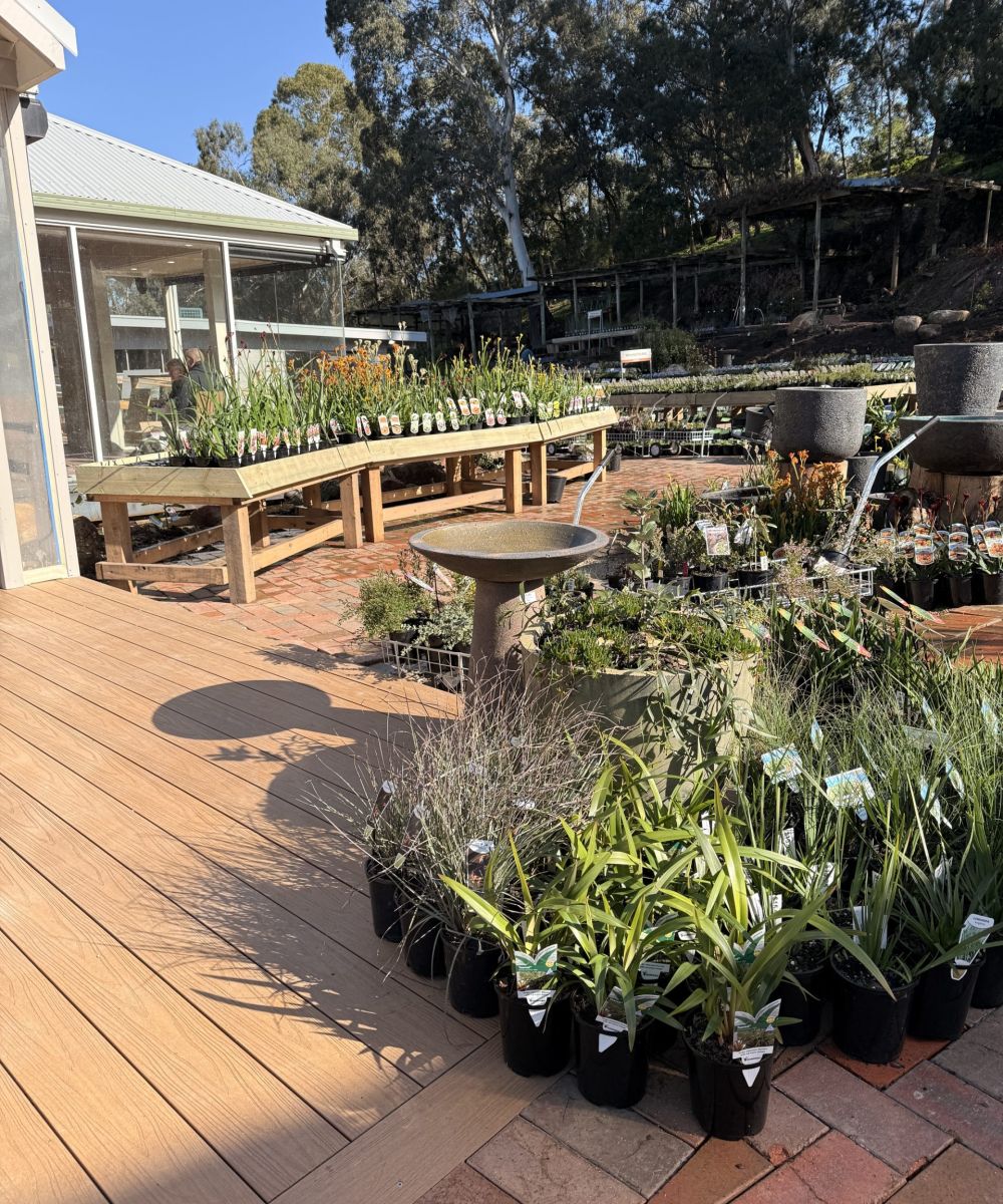 Karunga native plants