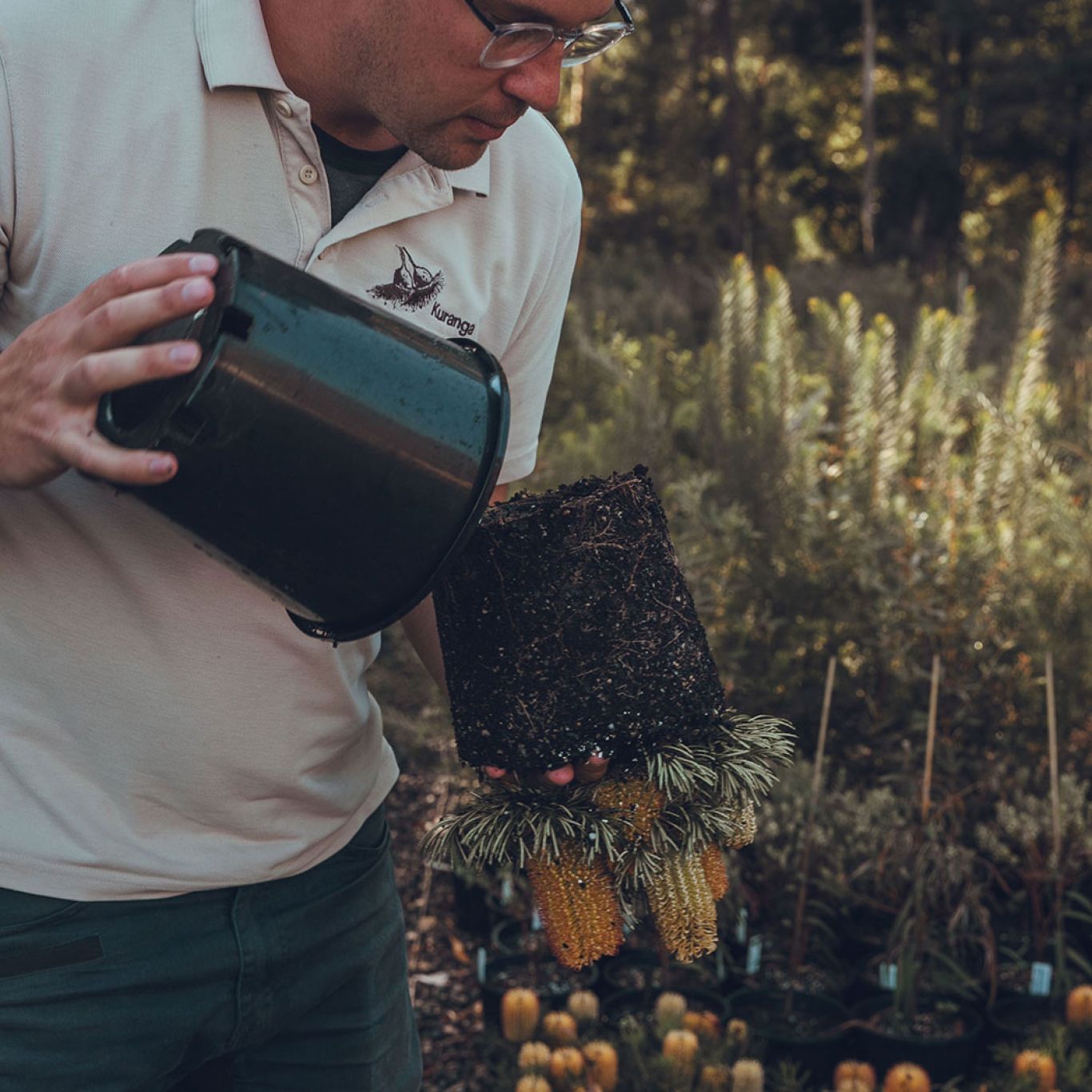 Home Kuranga Native Nursery