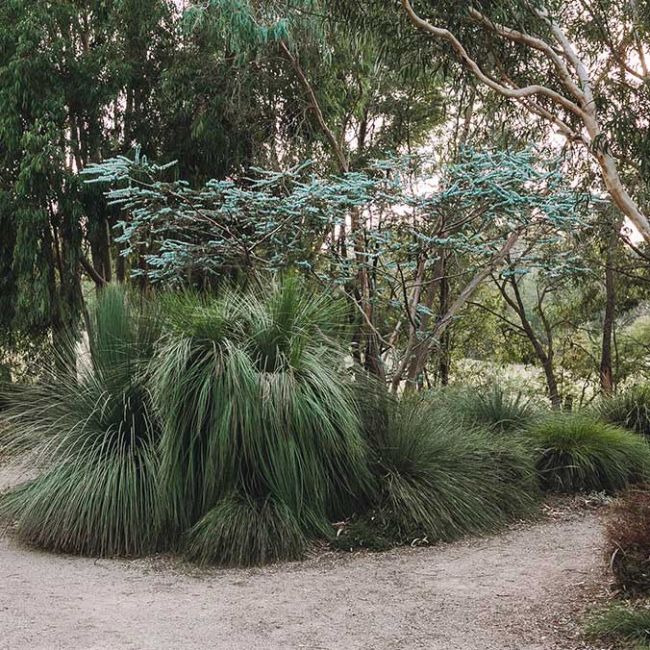 Kuranga Native Nursery | Melbourne