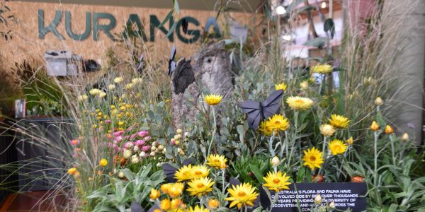 'In Ratio with Africa' Matt York & Ratio Consulting