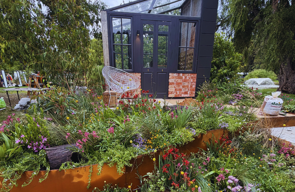 Native Whispers Emily Rubira