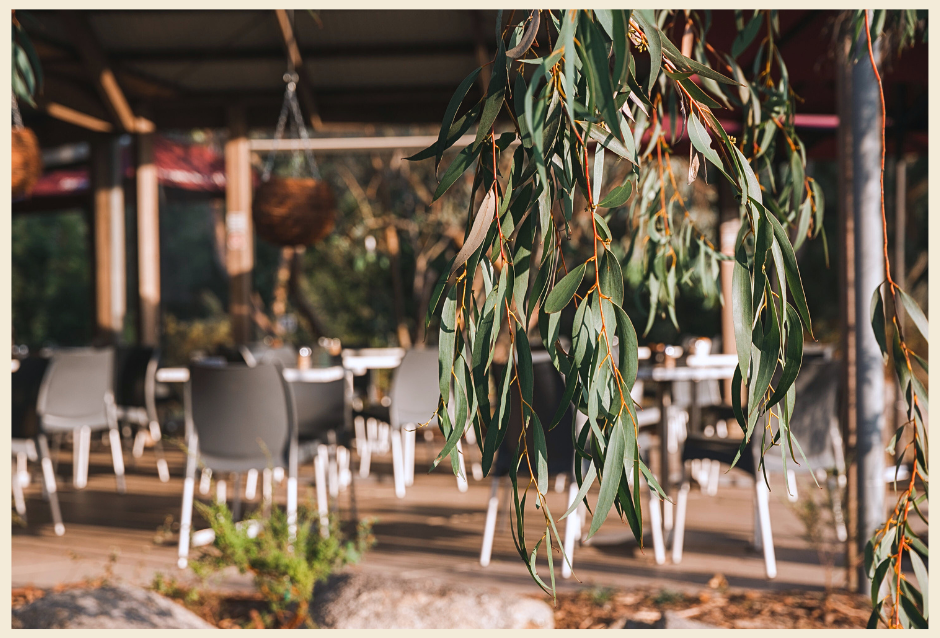 Paperbark Cafe Kuranga