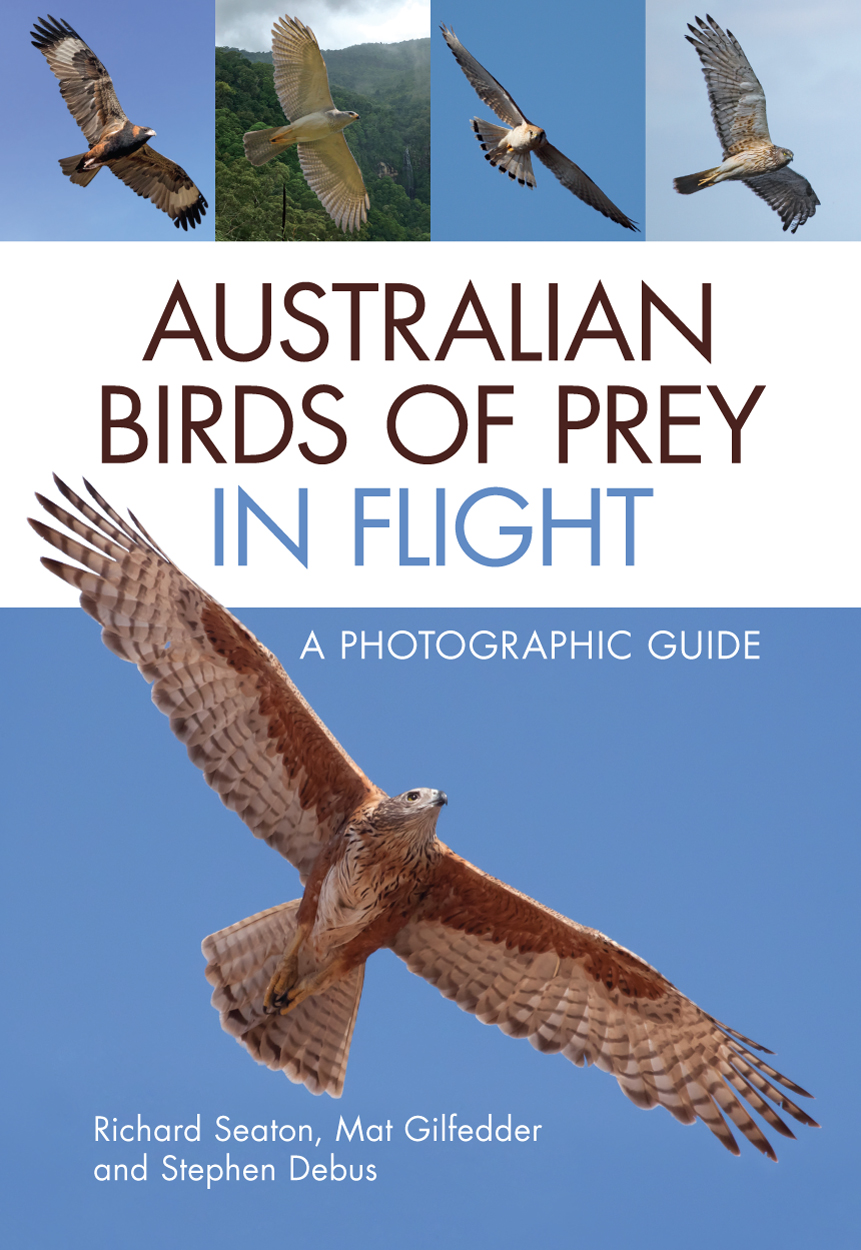 Australian Birds Of Prey In Flight Kuranga Native Nursery