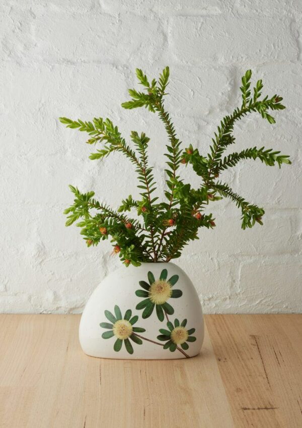 Angus & Celeste Macro Botanics Vase with Coastal Banksia print and speckled glaze, perfect for single stems.