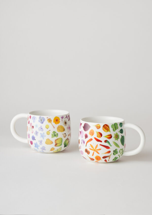 Angus & Celeste Flower Rainbow Sunny Day Mug Set – two 340 ml porcelain mugs with botanical design.