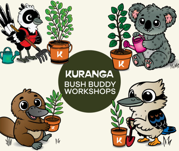 Bush Buddy Workshops