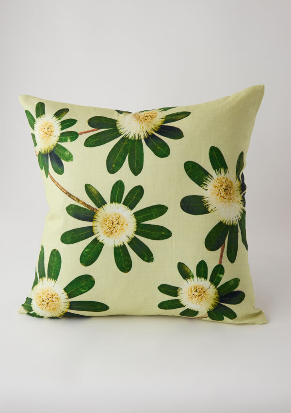 Angus & Celeste linen cushion with micro blend insert in Banksia Green.