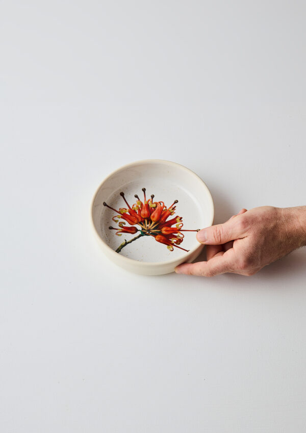 Angus & Celeste Grevillea Blossom Side Bowl – 17 cm speckled-milky glaze with botanical grevillea print.