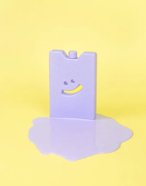 Mini Ice Brick