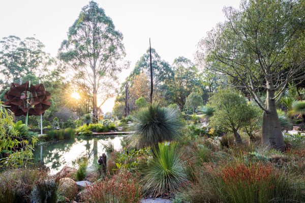 From Chelsea to Kuranga - A Garden Discovery Tour