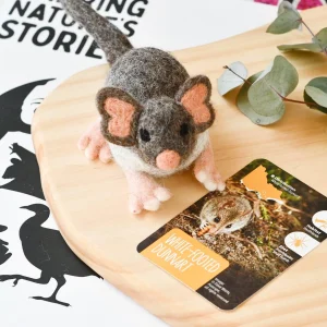 White-Footed Dunnart - Parks Victoria Nature Mascots
