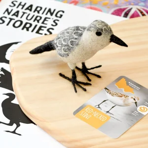 Red-Necked Stint - Parks Victoria Nature Mascots
