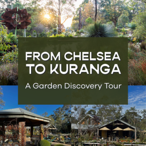 From Chelsea to Kuranga - A Garden Discovery Tour