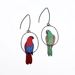 Eclectus mismatched pair earrings in Red/Blue/Green