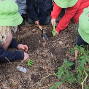 Bush Buddies - Little Leaflings Explorers Club