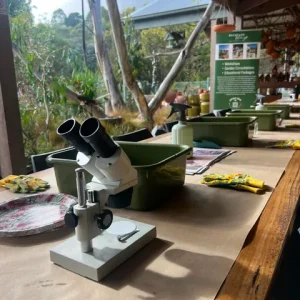 Bush Buddies - Newspaper pot making  with bush tucker seed planting